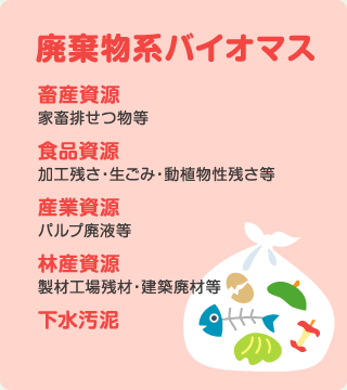 廃棄物系バイオマス