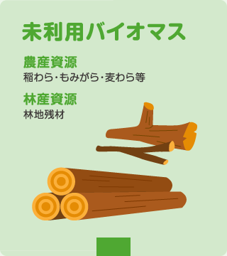未利用バイオマス