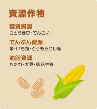資源作物