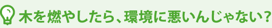 木を燃やしたら、環境に悪いんじゃない？