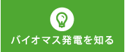 バイオマス発電を知る