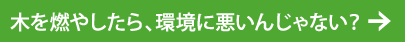 木を燃やしたら、環境に悪いんじゃない？
