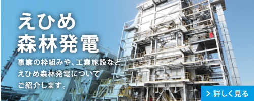 えひめ森林発電