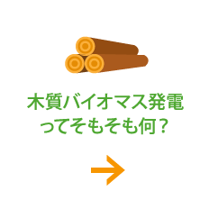木質バイオマス発電ってそもそも何？
