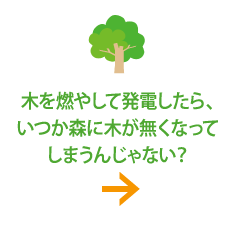 木を燃やして電力にしたら、森が無くなるんじゃない？